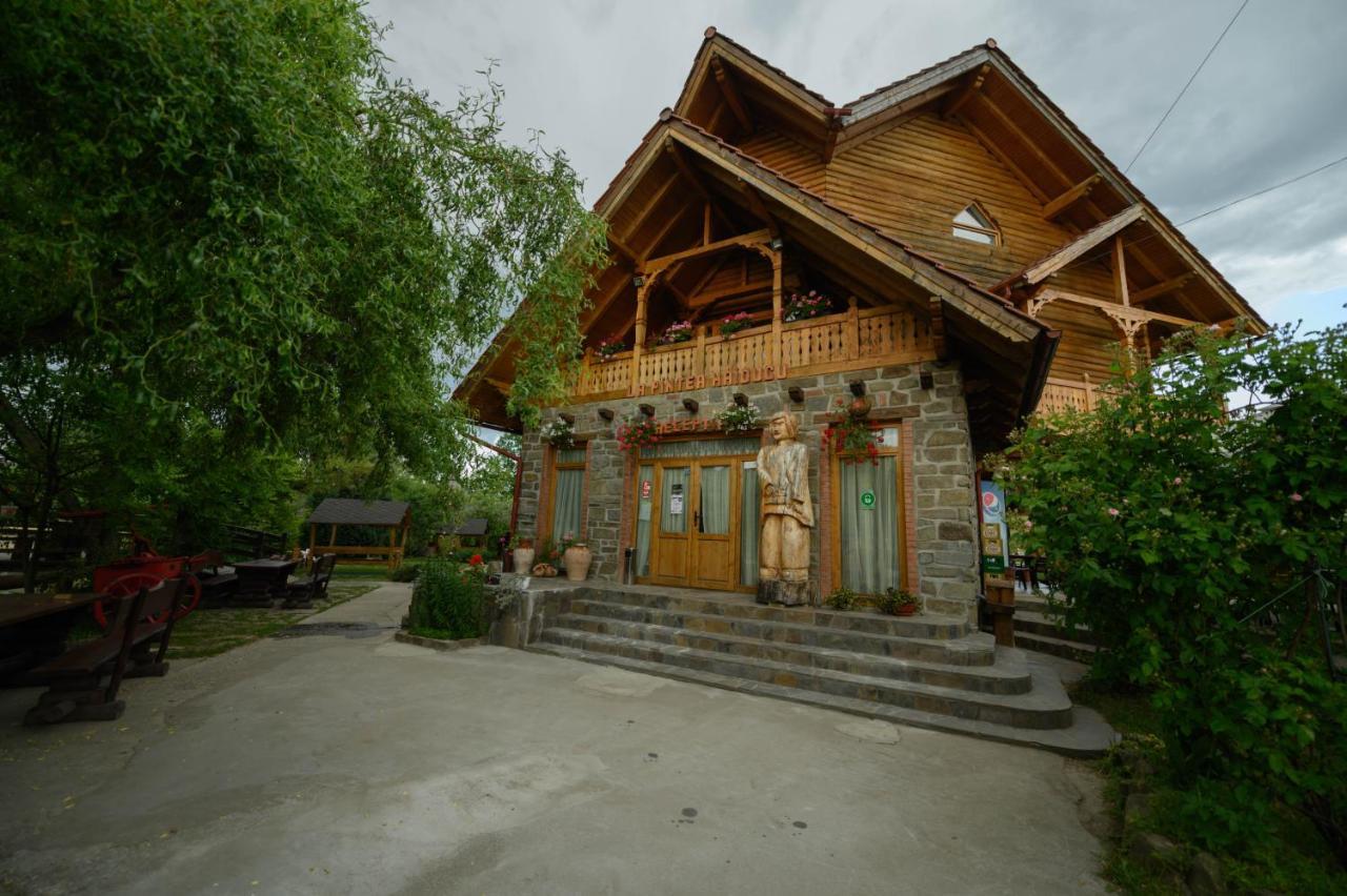 Pensiune Pastravarie La Pintea Haiducu Desesti Exterior photo